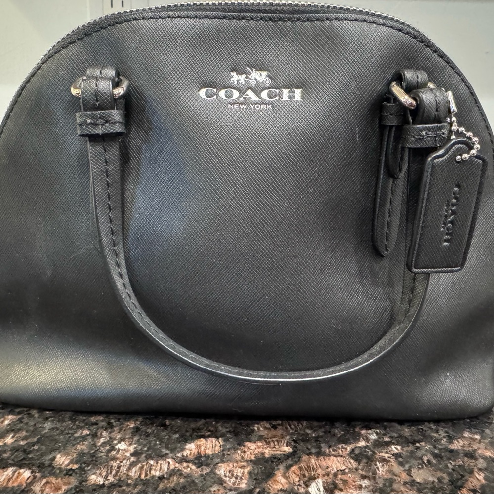 Coach Peyton Leather Mini Dom